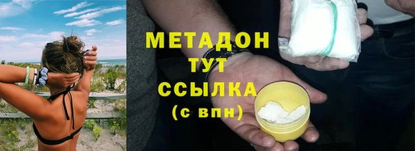 прущие грибы Аркадак