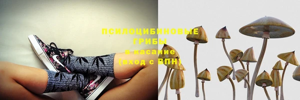 хмурый Балахна