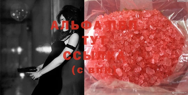 стаф Баксан