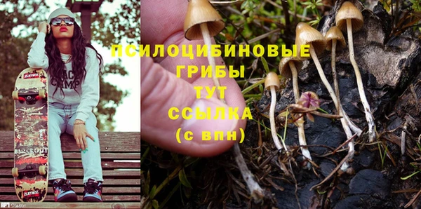 стаф Баксан