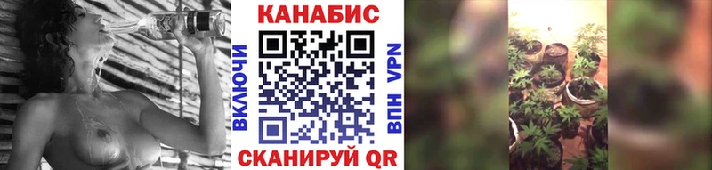 где можно купить наркотик  Гремячинск  Бошки Шишки OG Kush 